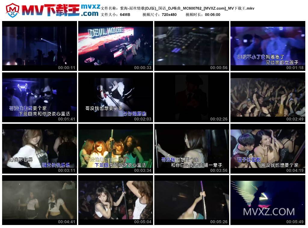 紫海-屌丝情歌(DJ版)_国语_DJ嗨曲_MC600762